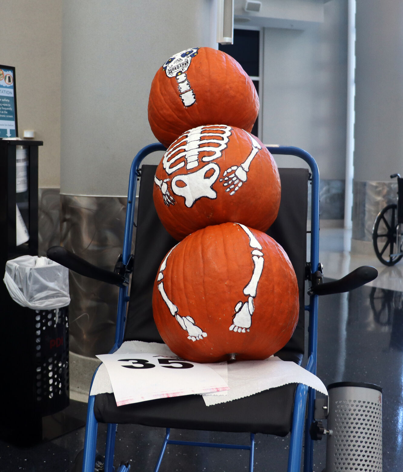MUSC Pumpkins